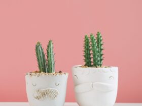 45 cool and catchy names for plants that capture your plant babys personality